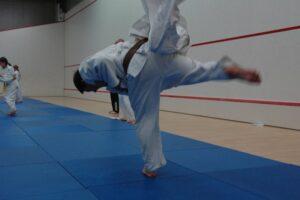 judolager_tenero_2010_153